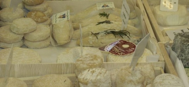 Sūriai, kuriuos turi paragauti atostogaudamas Lansarotėje