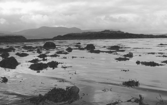 Kelionė į Škotiją – Fingalo ola Stafos saloje