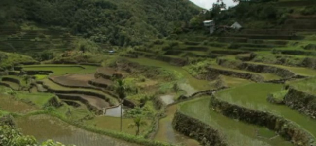 Banaue ryžių terasos Filipinuose – keliautojų pripažintos pasaulio stebuklu