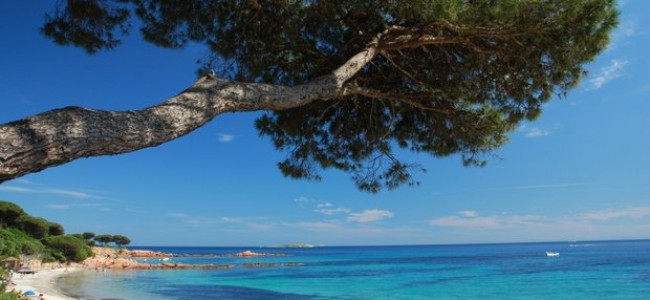 Kur keliauti geriau: Korsika ar Sardinija