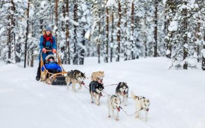 Kelionė į šiaurietišką Suomiją: 5 idėjos šeimos Kalėdų atostogoms