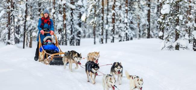 Kelionė į šiaurietišką Suomiją: 5 idėjos šeimos Kalėdų atostogoms