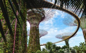 Singapūras: ką pamatyti, paragauti bei keletas patarimų