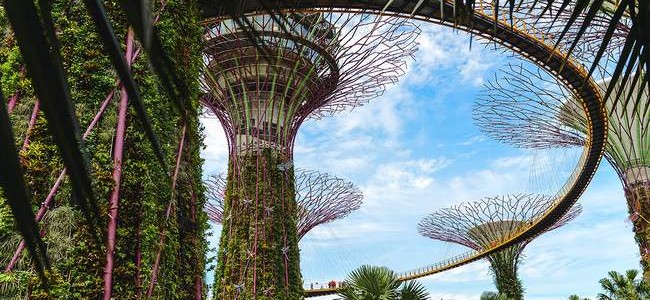 Singapūras: ką pamatyti, paragauti bei keletas patarimų