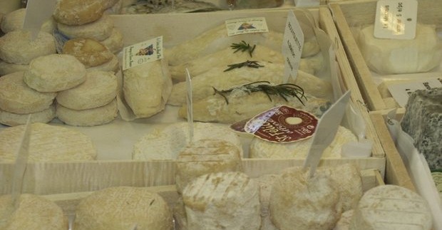 Sūriai Lansarotėje