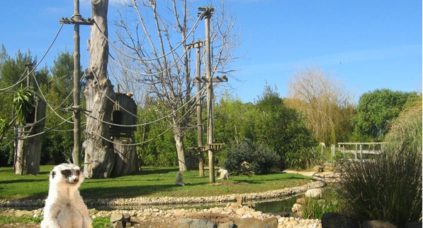 Pramogų ir atrakcionų parkai Algarvės regione