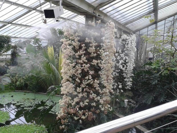 Kew botanikos sodai netoli Londono