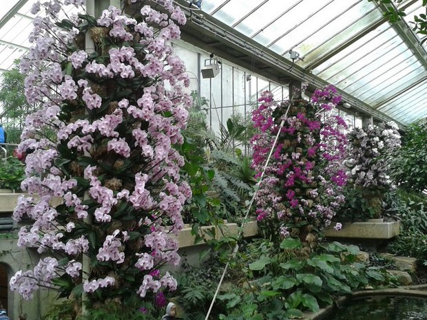 Kew botanikos sodai netoli Londono