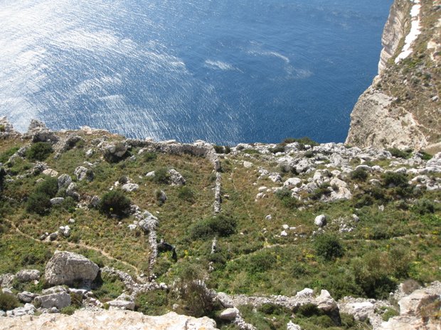 Maltos sala. Dingli uolos